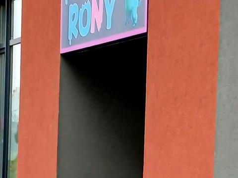 квартира за адресою Олександра Олеся вул., 10