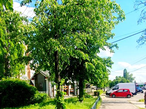 комерційна за адресою Авіаконструктора Антонова вул., 4-Б