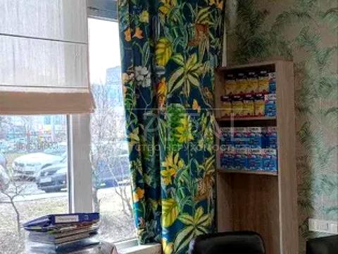 комерційна за адресою Раїси Окіпної вул., 4