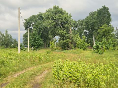 ділянка за адресою Требухівська