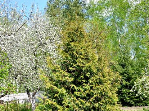 дом по адресу Березовий Гай