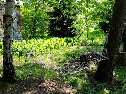 дом по адресу Березовий Гай