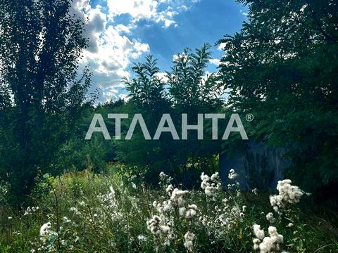 участок по адресу с. Прибугское, 