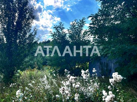 участок по адресу с. Прибугское, 