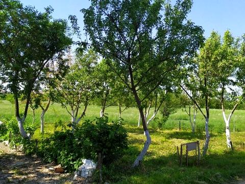 дом по адресу тлумач