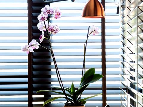 квартира за адресою Саксаганського вул., 37-К