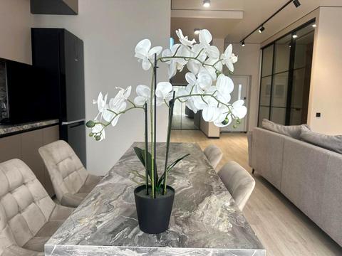 будинок за адресою Абрикосова вул.