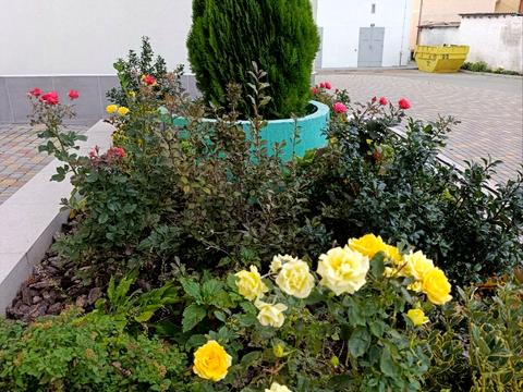 квартира за адресою Бугаївська вул., 44