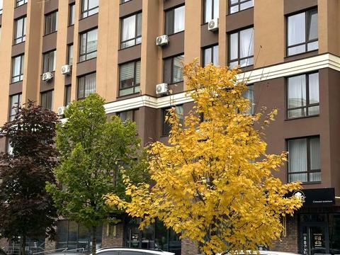 квартира за адресою Свободи вул., 3-С