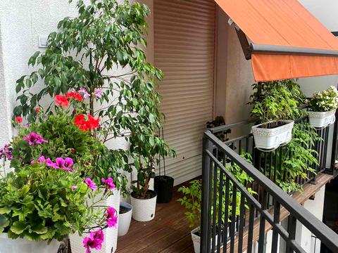 квартира по адресу Мосяжная ул., 4