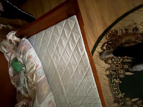 кімната за адресою Якова Степового вул., 17