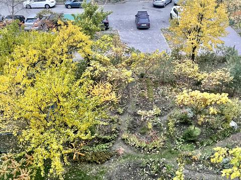 квартира за адресою Милославська вул., 19-А