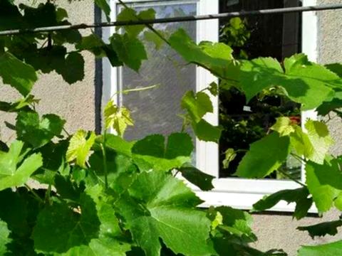 будинок за адресою Одеська вул.