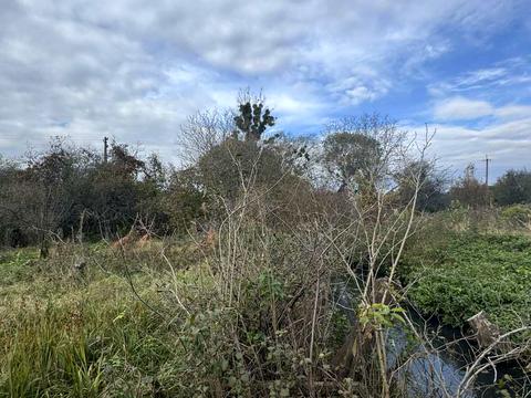 участок по адресу 