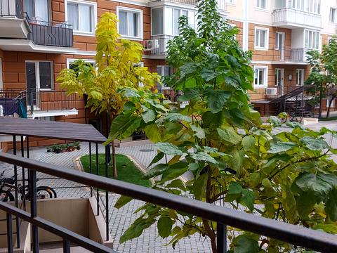 квартира по адресу Люстдорфская дорога ул., 100в