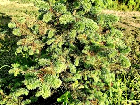 будинок за адресою Високогірна вул., 7