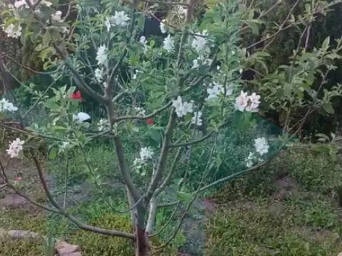 дом по адресу Алли Горської ул. (Нарымская), 4