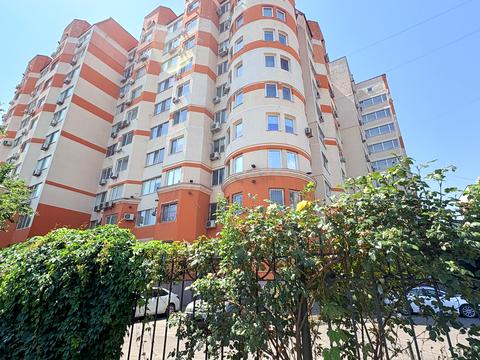 квартира по адресу Старицкого ул., 20/4