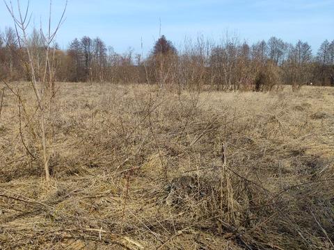 дом по адресу Луговая ул., 7