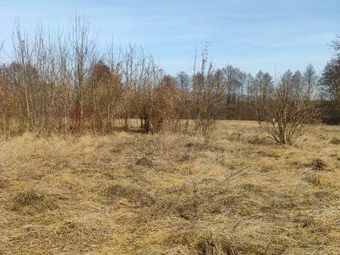 дом по адресу Луговая ул., 7