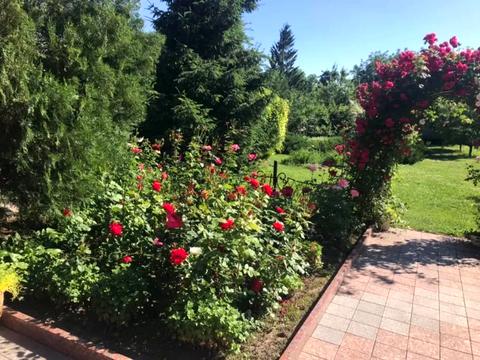 дом по адресу Кропивницкий, Гагаріна