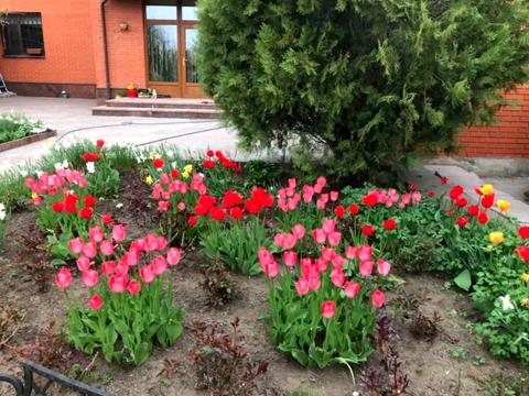 дом по адресу Кропивницкий, Гагаріна