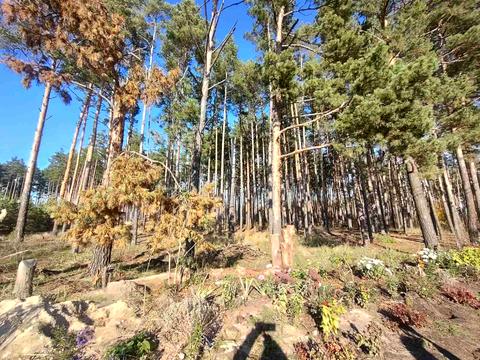 будинок за адресою Незадежності