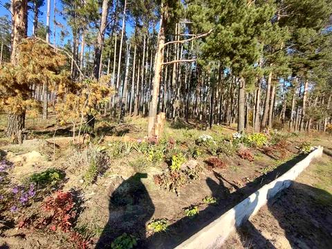 будинок за адресою Незадежності