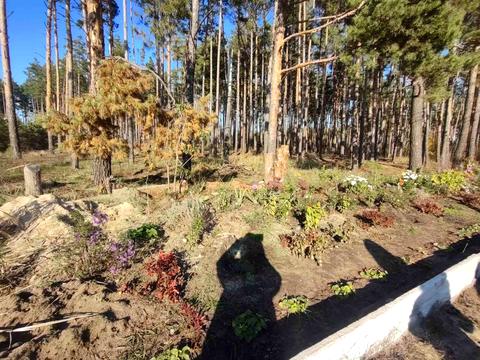 будинок за адресою Незадежності