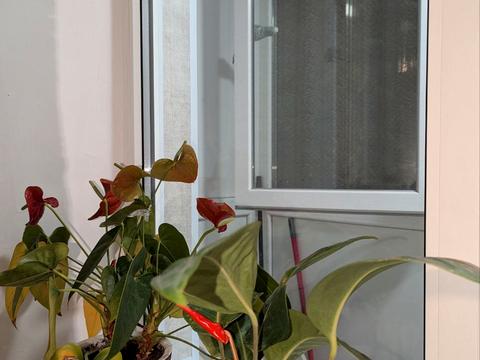 квартира за адресою Петра Калнишевського просп. (Косіора), 53