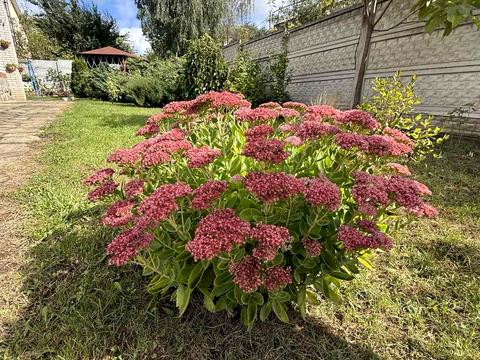 будинок за адресою Валентини Грабовської вул., 78