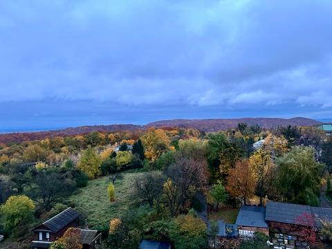 квартира за адресою Майорівка вул., 1