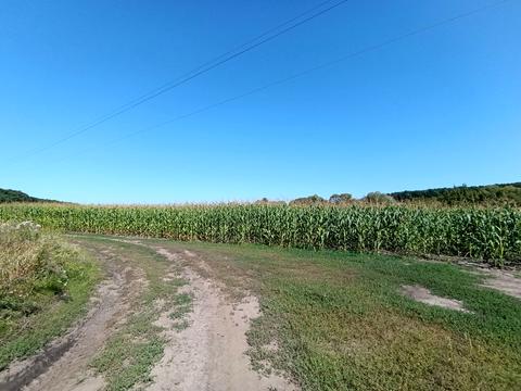 ділянка за адресою Лісова