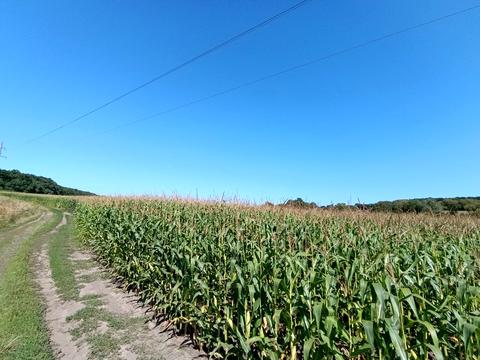 ділянка за адресою Лісова