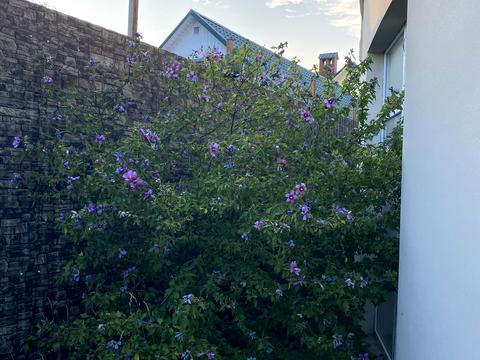 будинок за адресою Рибальська вул.