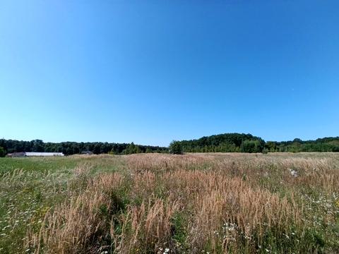 ділянка за адресою Лісова