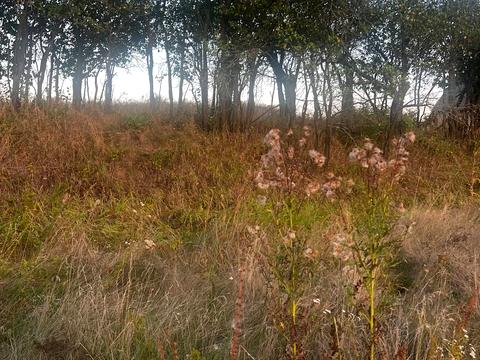 ділянка за адресою Гагаріна вул.