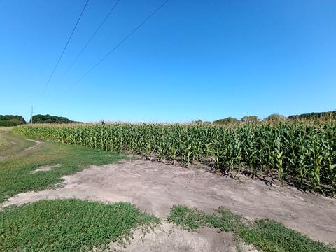 ділянка за адресою Лісова