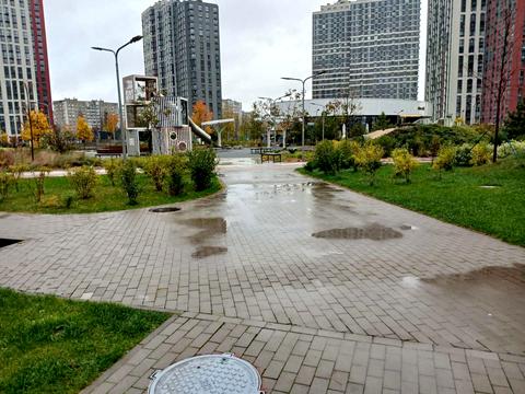 квартира за адресою Олександра Олеся вул., 10