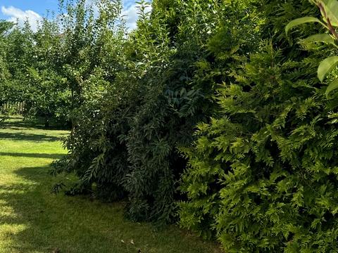 дом по адресу Прилуцкая ул.