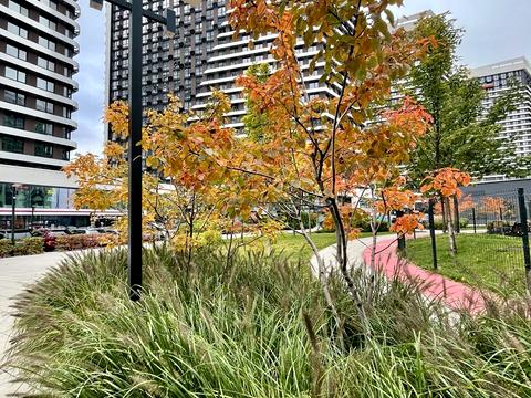 квартира за адресою Дніпровська набережна вул., 15-Д