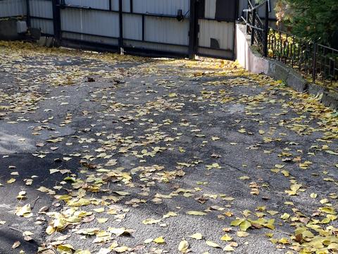 паркомісце за адресою Степана Бандери вул., 11