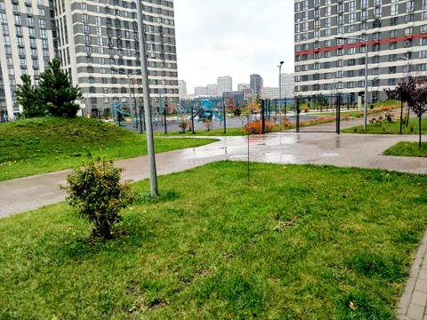 квартира за адресою Олександра Олеся вул., 10