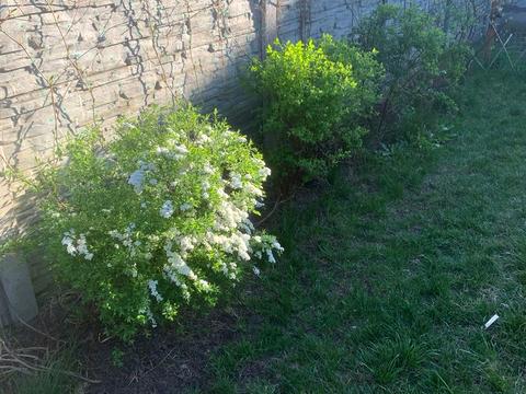 дом по адресу Заводська