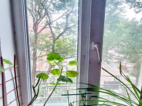 квартира по адресу Утёсова ул., 6