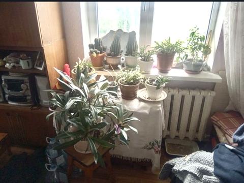 квартира по адресу Алишера Навои просп., 88