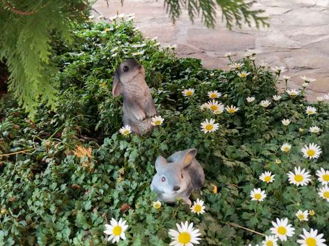 будинок за адресою Центральна вул., 39