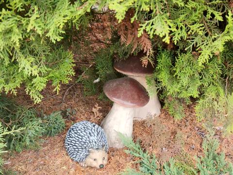 будинок за адресою Центральна вул., 39