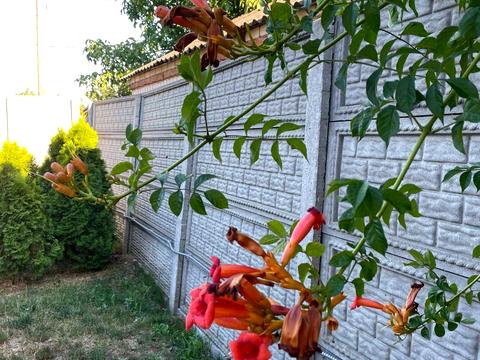 будинок за адресою Широка, 64