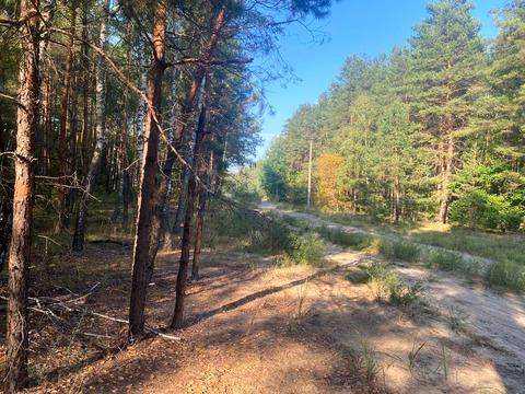 ділянка за адресою 